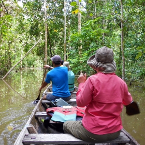 Canoeing through the rainforest