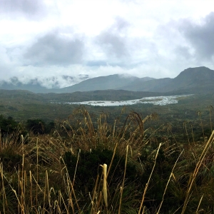 The Chingaza paramo