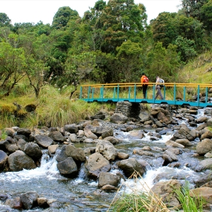 Crossing a stream