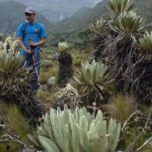 Hiking through the paramo