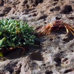 Explorando La Guajira