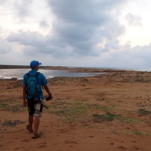 In Punta Gallinas