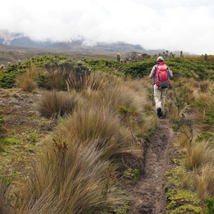 Hiking through the páramo