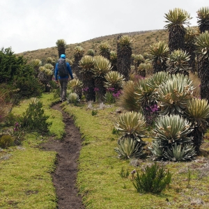 Hiking through "The Garden of Eden"