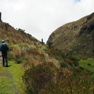 Hiking through the páramo