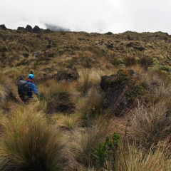 Caminando por el páramo