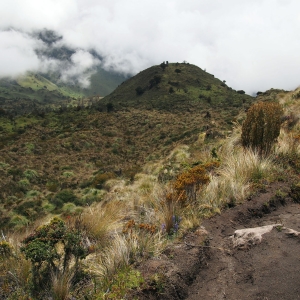 Hiking along a high ridge