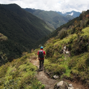 Heading down to the cloud forest