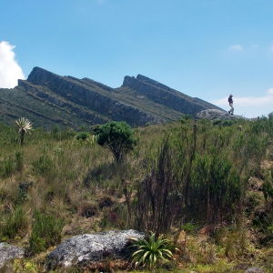 Layered mountains in the background