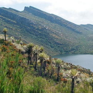 Siecha lakes