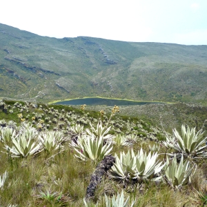 Siecha lakes