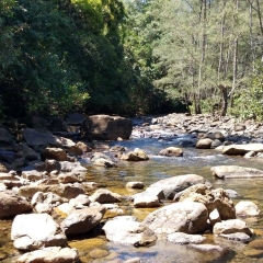 Río Dumangueña