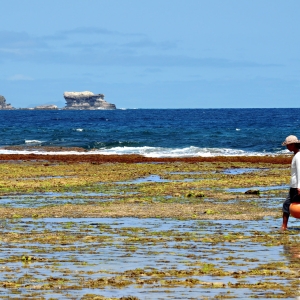 An island local gleaning the shores of Sibang Cove on Calayan island