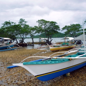 Local fishing boats