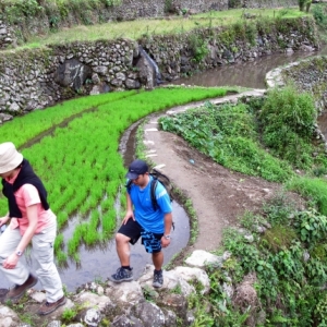 Hiking through the rice terraces of Batad in Banaue
