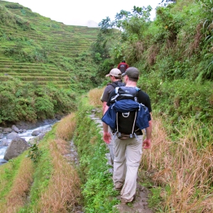 Cambulo rice terraces