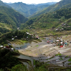 Terrazas de arroz en Batad