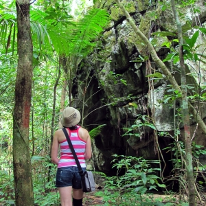 Exploring the forest interiors of Palawan