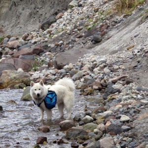 Crossing a stream along the trail