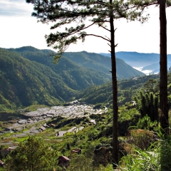 Scenic view near Sagada, Mountain Province