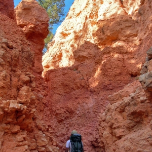 Hiking in Bryce Canyon