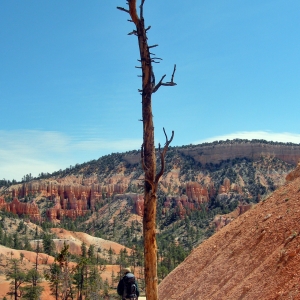 Hiking in Bryce Canyon