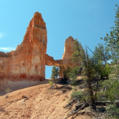 At Bryce Canyon