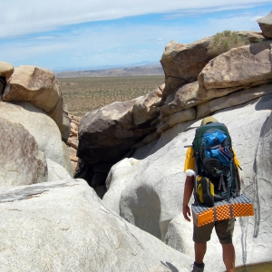 At Rattlesnake Canyon, Joshua Tree National Park