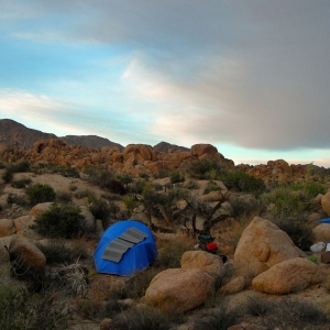 Camping in Joshua Tree National Park