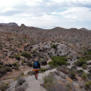 Haciendo senderismo en el Parque Nacional de Árboles de Josué