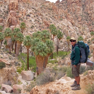 Llegando a un oasis en el Parque Nacional de Árboles de Josué