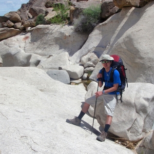 At Rattlesnake Canyon, Joshua Tree National Park