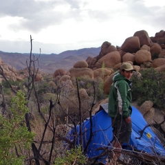 Acampando en el Parque Nacional de Árboles de Josué