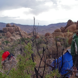 Camping in Joshua Tree National Park