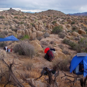 Camping in Joshua Tree National Park