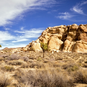 Climbing playground