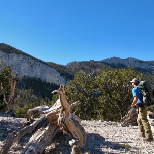 On the trail