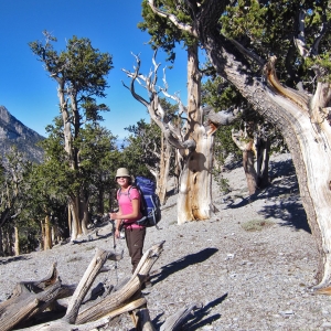 En el sendero