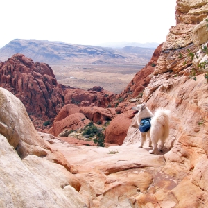 Overlooking Las Vegas valley