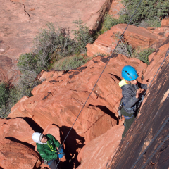 Contemplating the crimps