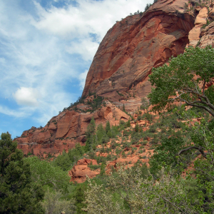 Hiking in Zion