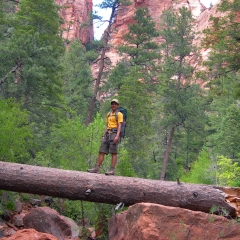 Caminando en el Parque Nacional Zion