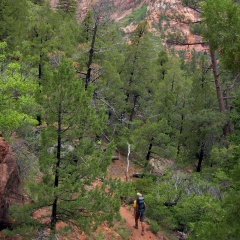 Hiking in Zion