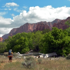 Caminando en el Parque Nacional Zion