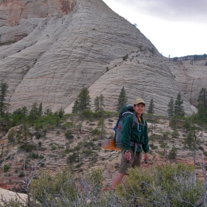 At Zion's Western Rim