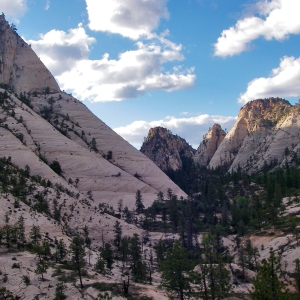 Zion's Western Rim